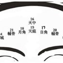 2 마이상법: 십삼부위(十三部位)의 두 번째 가결-천정(天庭) 이미지