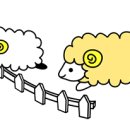 농업회사법인 (주) 대관령 이미지