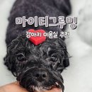 마이티 그루밍 이미지