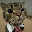 서천스크린골프 이미지