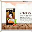 감이조아 이미지
