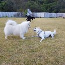 두푸딩하우스 이미지