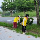 7월 신기루자원봉사단 환경정화활동. 이미지