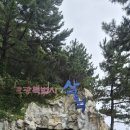 장호바다숲폔션 | 삼척해양레일바이크 타고 왔어요! 용화정거장 바다 여행 코스