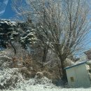 호수 황토 찜질방 | 경기도 포천 수목원 숯가마｜삼겹살 구워 먹는 찜질방 솔직후기