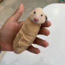 여보세요 이미지