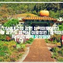 [6시내고향 강원 삼척미로정원]📌6시내고향 강원도 삼척시 미로정원 "삼척미로정원" 주차 위치 예약 포장정보 이미지