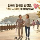 튼튼 복지용구 | 부모님 낙상 걱정 끝! 노인 복지용구 지원으로 튼튼한 어르신 지팡이 장만해 드린 후기