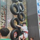 삼봉태권도 이미지