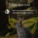 마억두의 향기가 좋고 촉촉한 바디로션 추천 &#39;테이크어샤워 우붓 바디로션&#39;