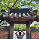 거목아리랑 | 밀양 여행 코스 가볼만한 곳 '위양지' 다녀온 후기 - 왕사남 느낌 포토존과 이팝 나무가 있는 자연 산책...