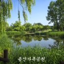 용산가족공원 이미지