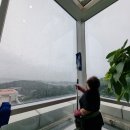 강남대학교 평생교육원 네이버블로그