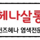 헤나살롱염색전문점