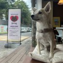 YUMMYOLOGY 네이버블로그