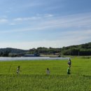 죽청대파니마을 네이버블로그