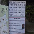 (주)삼성궁 | [공지] (11월 초 방문) 하동 삼성궁 단풍 후기 주차 포토존 애견동반 입장료