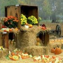 벌교초장집 이미지