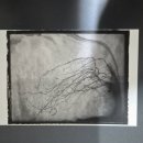 서천 판교 근대역사문화공간 | 충남 서천 여행 | 서천 판교 시간이 멈춘 마을, 한 장의 오래된 사진 속을 걷다