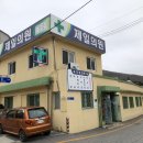 사북제일의원 브런치