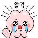 나니스쇼콜라 이미지
