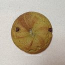 크린마트 이미지