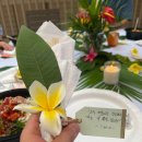 열방농장 | 2304 나... 하와이 갔었다