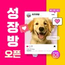 여기엇댕 이미지