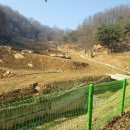 새벽농장 이미지