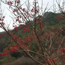 서남시장 이미지