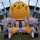 주환이의 주말 👨‍👩‍👦 축구 직관⚽️⚽️⚽️ 이미지