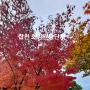 합천호스마일펜션 이미지