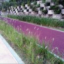 쇠죽골천 이미지