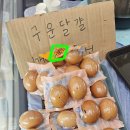 35차 영분별반(김빛나 간사님) 2강 이미지