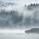 광진모터스 이미지