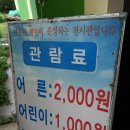 섬진강문화학교 독도사진전시관 이미지