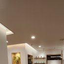 네이처러스 판포나일 이미지