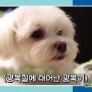 비타민엔터테인먼트 이미지