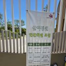 실험정원 | [해남] 산이정원 내돈내산 방문후기(입장료, 운영시간, 샤스타데이지, 수국, 해남 반값여행)