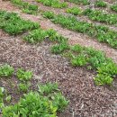 산장농원 이미지