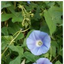 경민약국 이미지