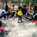 레몬숲어린이집 이미지