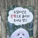유알픽 이미지