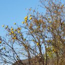 영주수도리김뢰진가옥 이미지