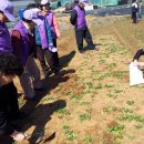 구로농장 이미지