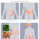 장** - 청주시 청원구 풍정3길 7 | 장**
