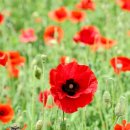 용수골농장 이미지