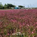 의림지-07 이미지