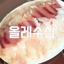 제주동문수산시장 | 제주 동문시장 올레수산 방어 포장 아쉬운점 솔직후기