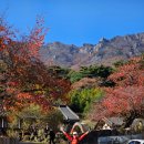 요산마을 | 통도사19암자순례길의 모든 것,암자유래,19암자순례길지도 2025.11.13